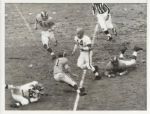 1955 Otto Graham Browns original UPI photo vs Rams
