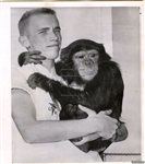 Ham the Chimp Gets Ready for his Space Mission Original 1961 Associated Press Photo
