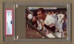 1970s Sadaharu Oh – The All-Time Home Run Leader in Baseball History TYPE 1 Original Snapshot Photo PSA/DNA