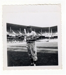 Gil Hodges Poses with Bat at Ebbets Field Brooklyn Dodgers 1950s Original TYPE 1 Photo Snapshot